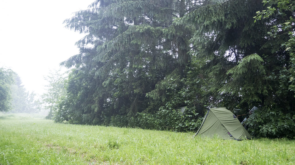 Wild camping na vysekané louce na kraji lesa