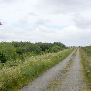 Jeden z několika majáků, které můžete v této části stezky potkat
